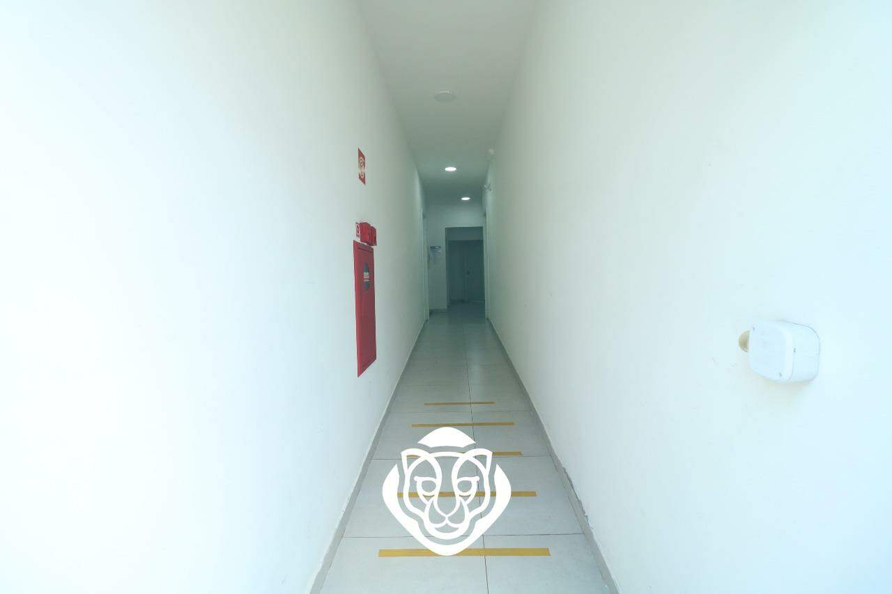 Terreo