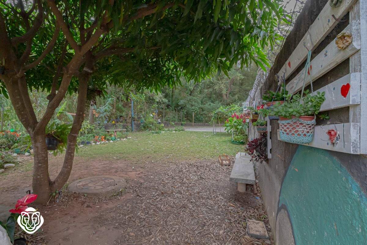 Jardim