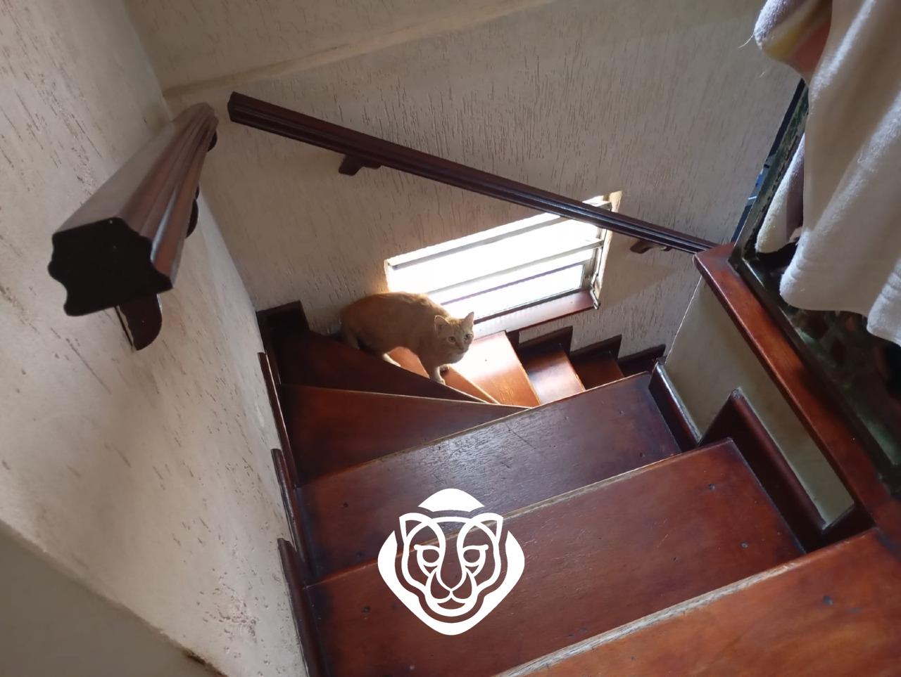 Escada para dormitórios