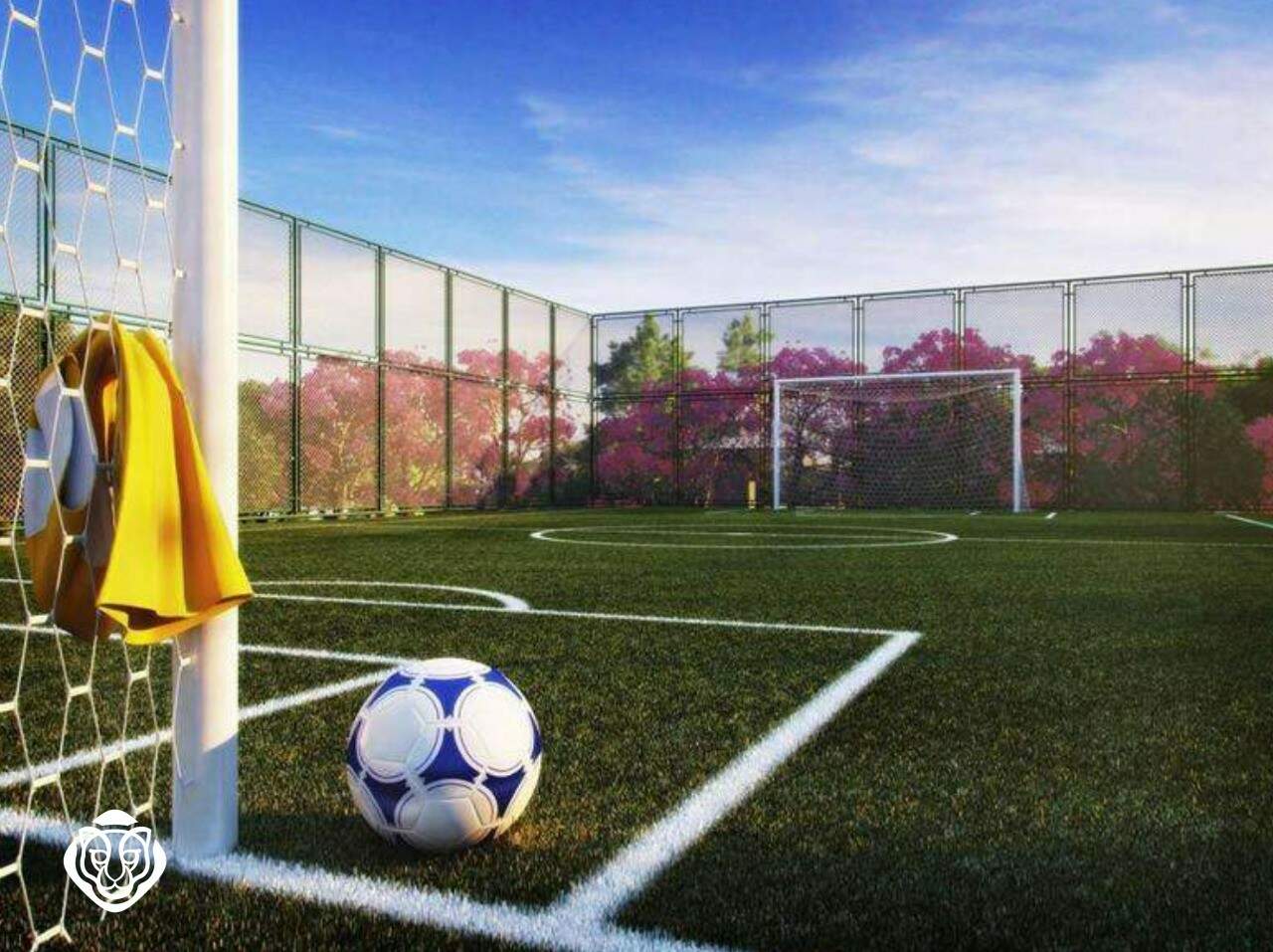 Campo de futebol (projeto)