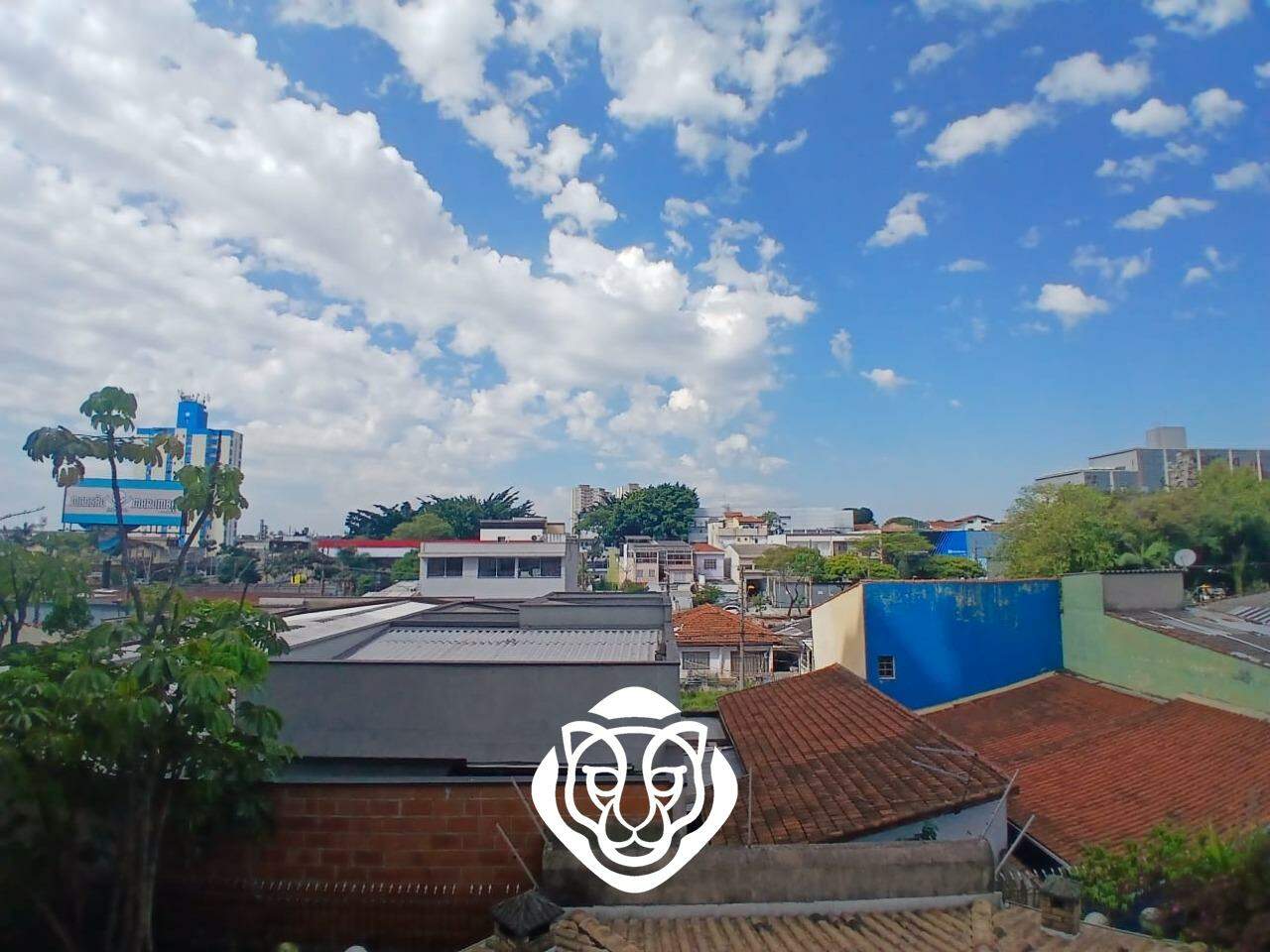Vista