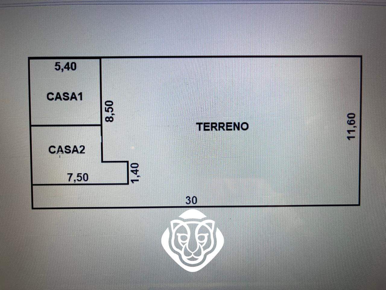 Planta
