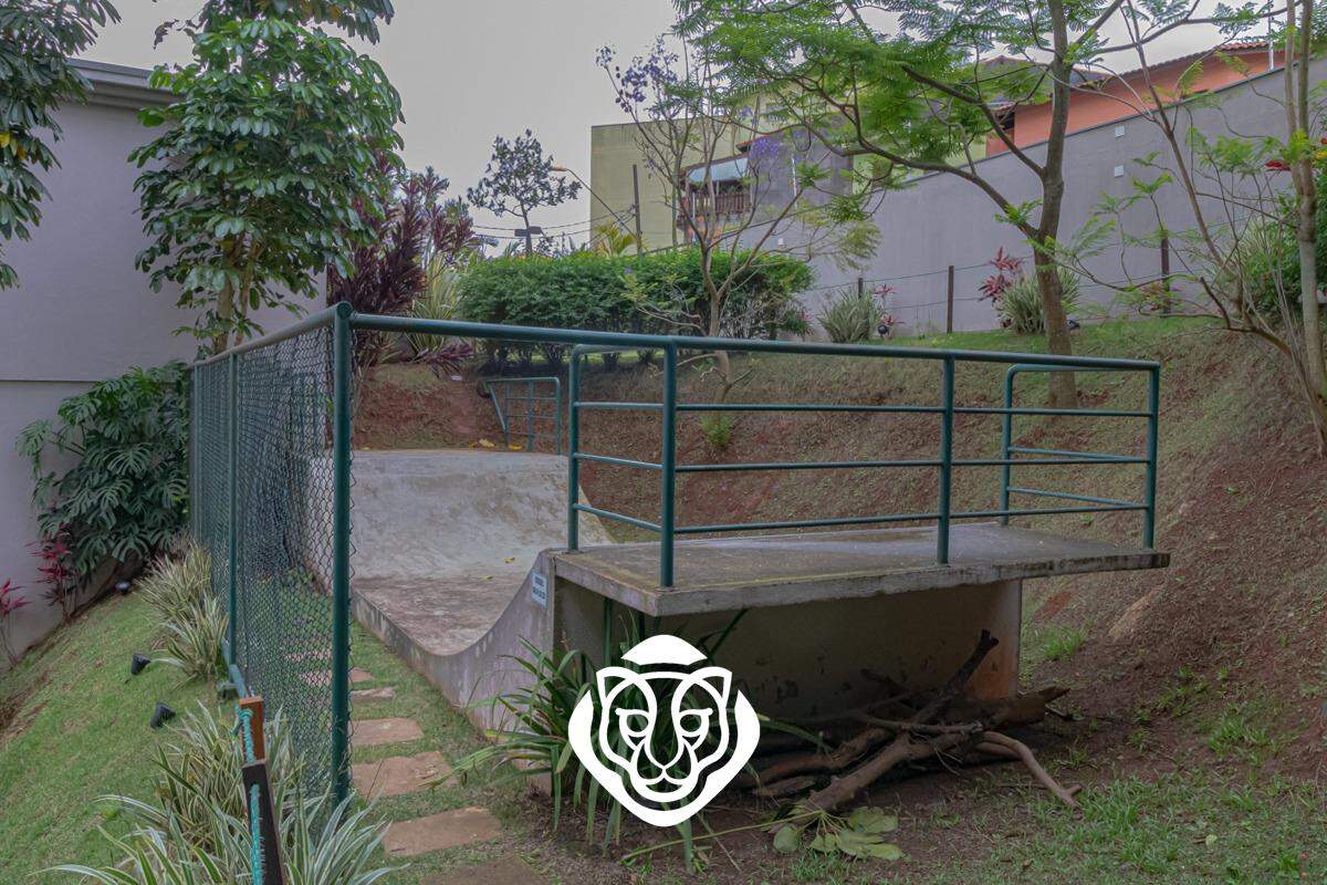 Pista de skate