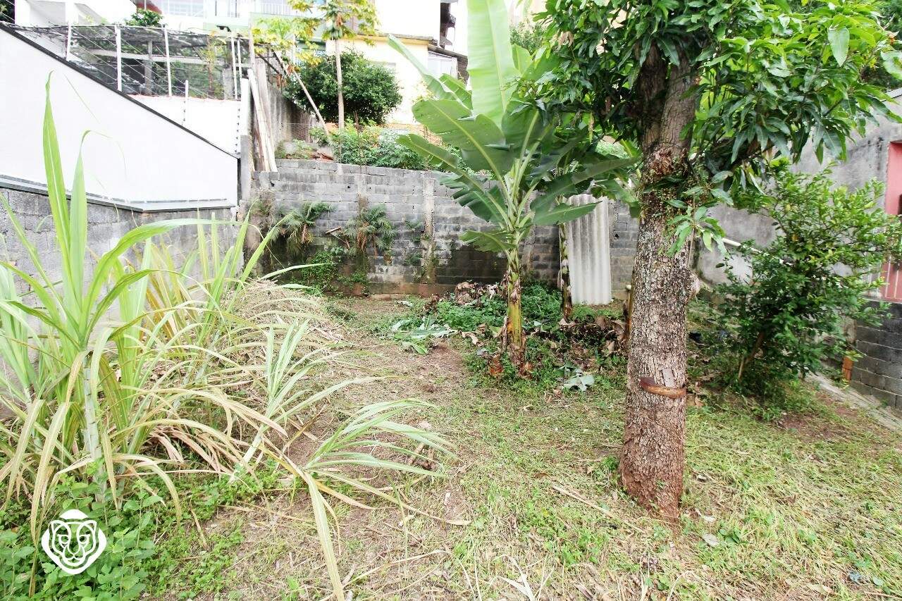 Quintal com jardim