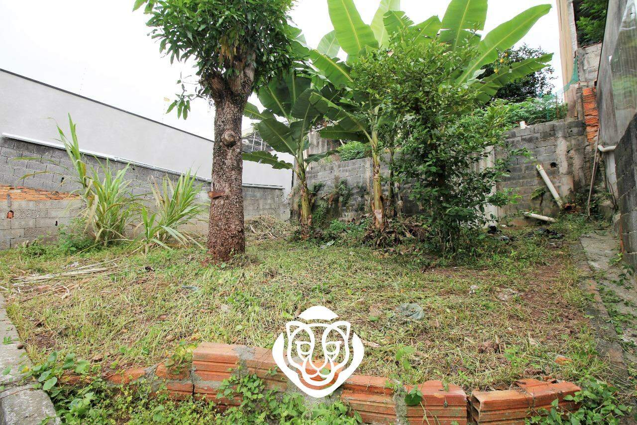 Quintal com jardim
