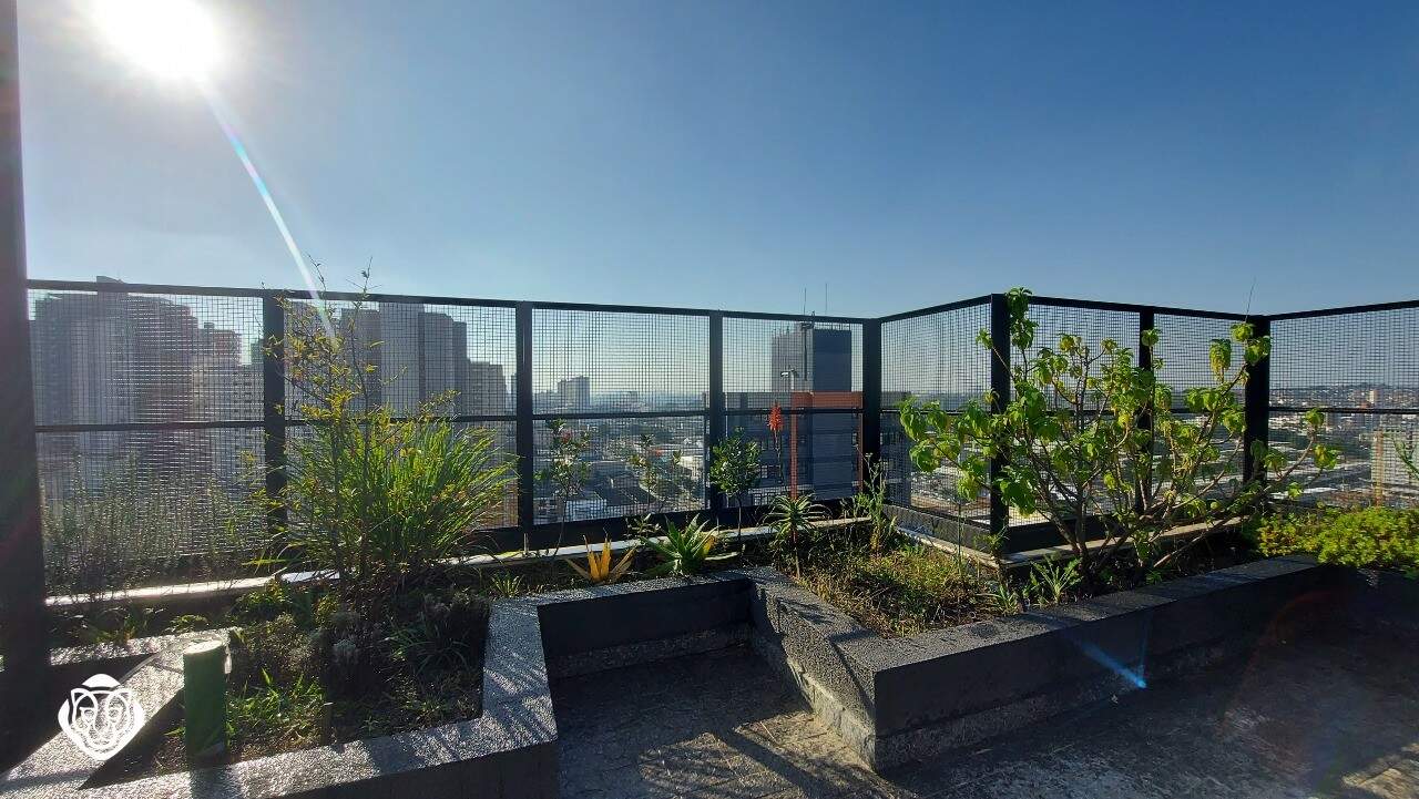Rooftop