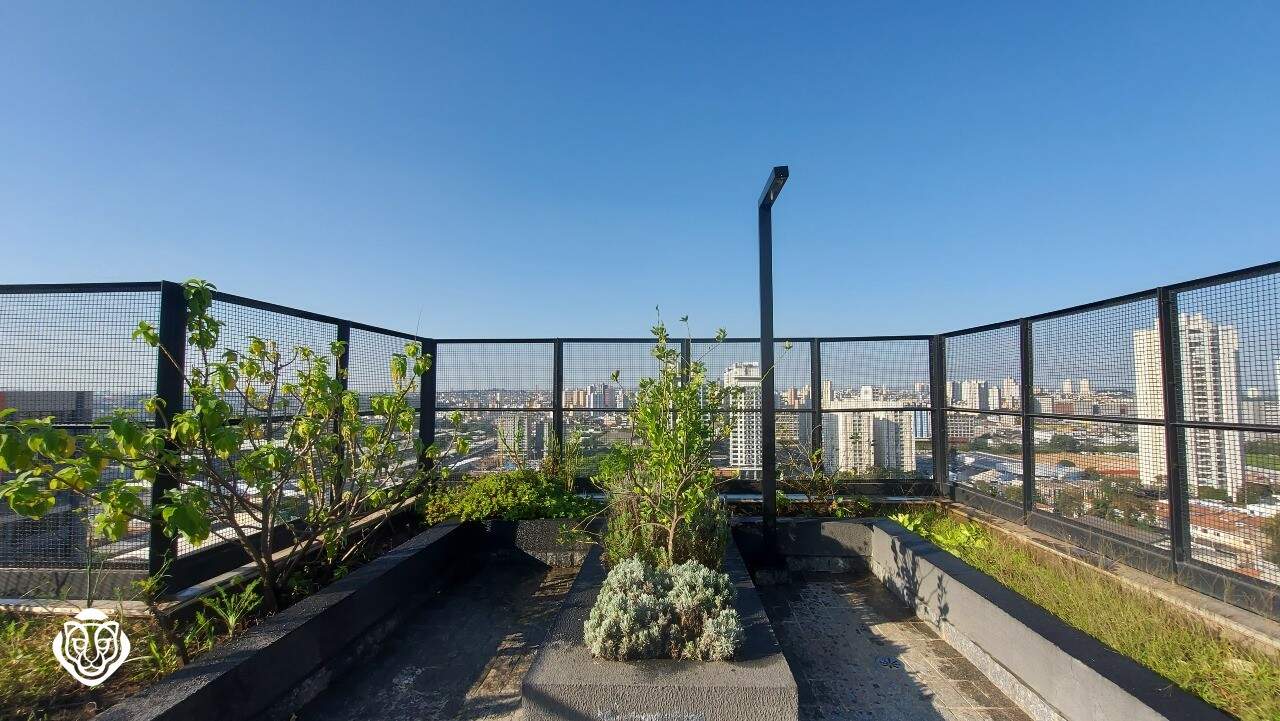Rooftop