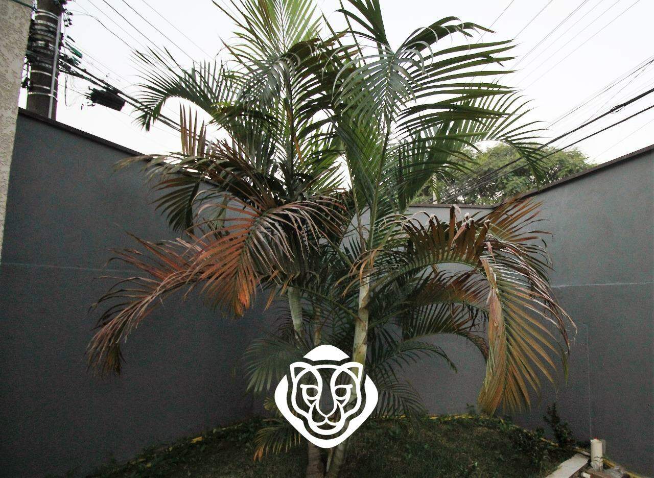 Jardim