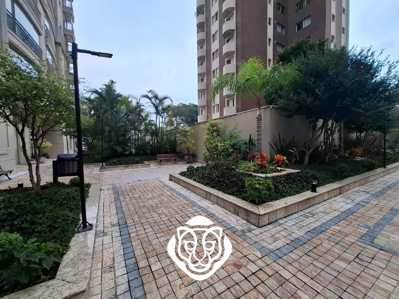 Cascata e jardim
