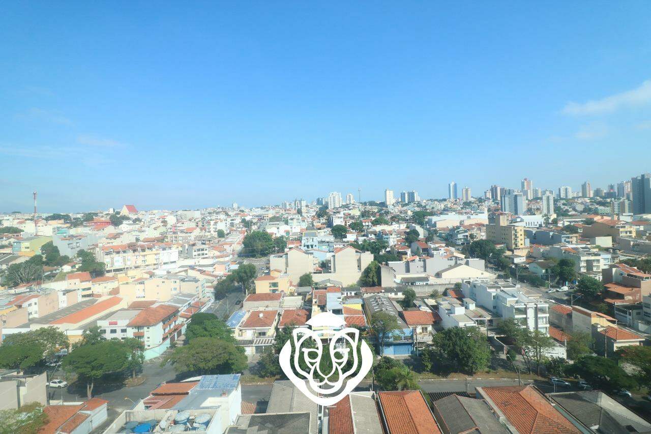Vista