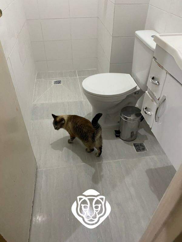 Banheiro social