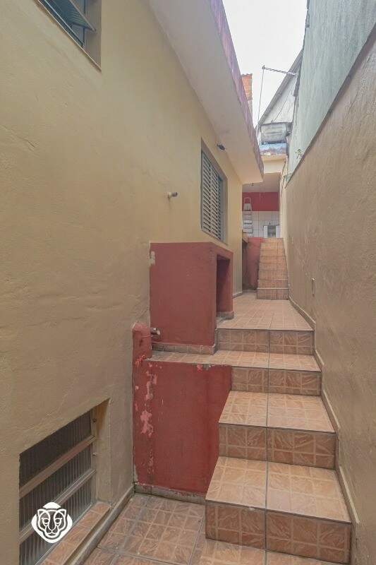 Escada de acesso / Quintal
