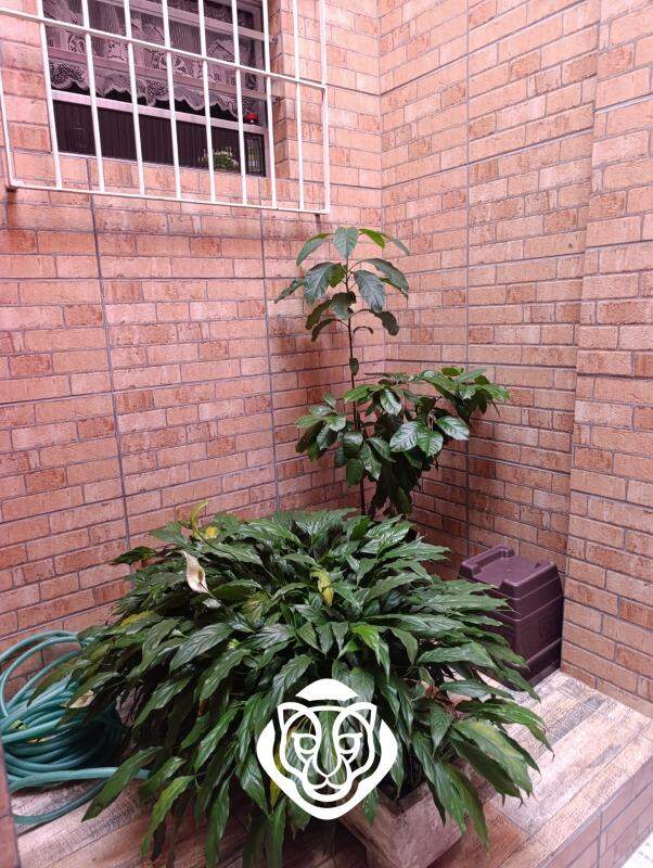 Quintal