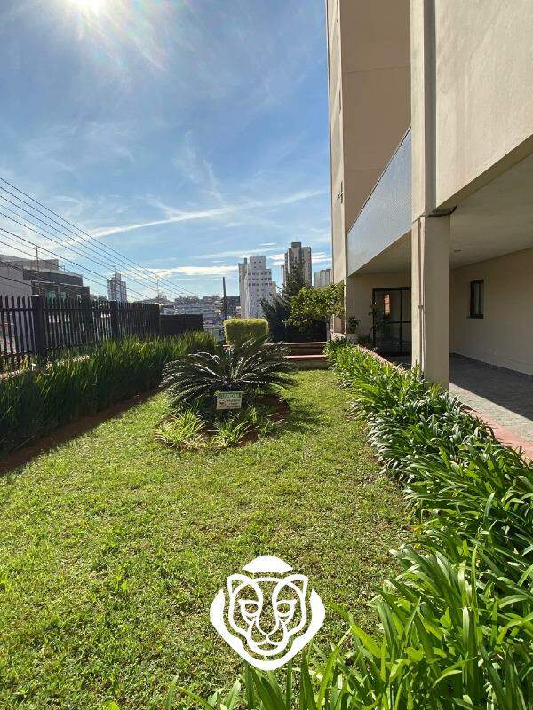 Jardim 