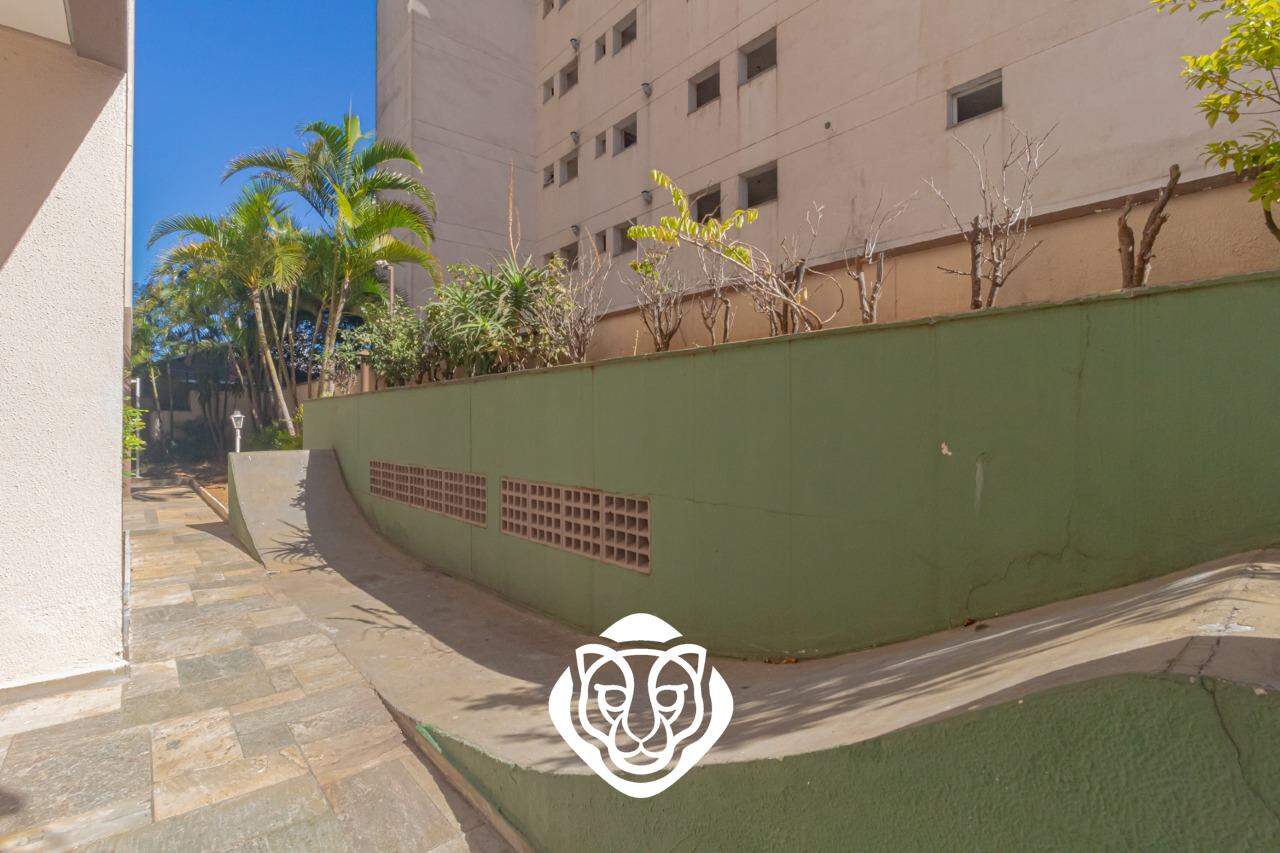 Pista de skate