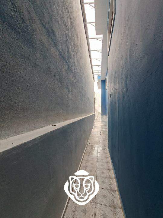 Quintal lateral
