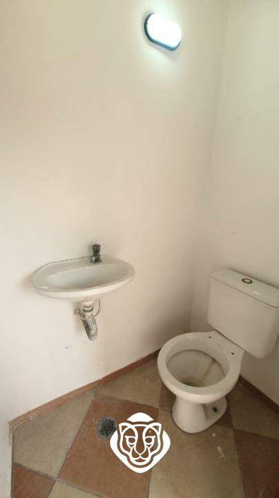 Lavabo do quintal