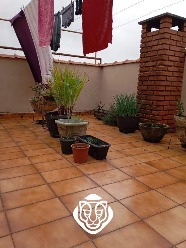 Quintal superior