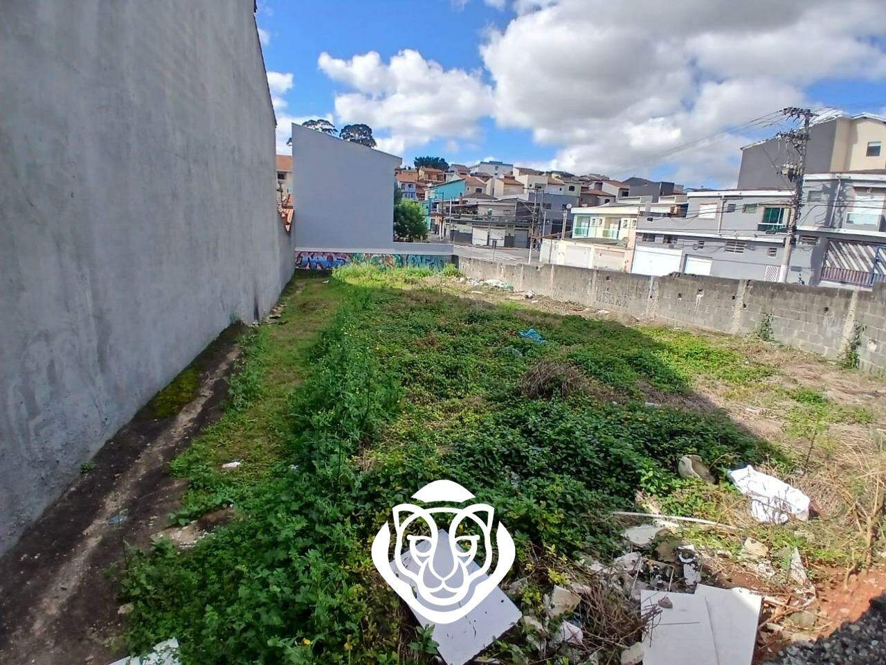 Terreno
