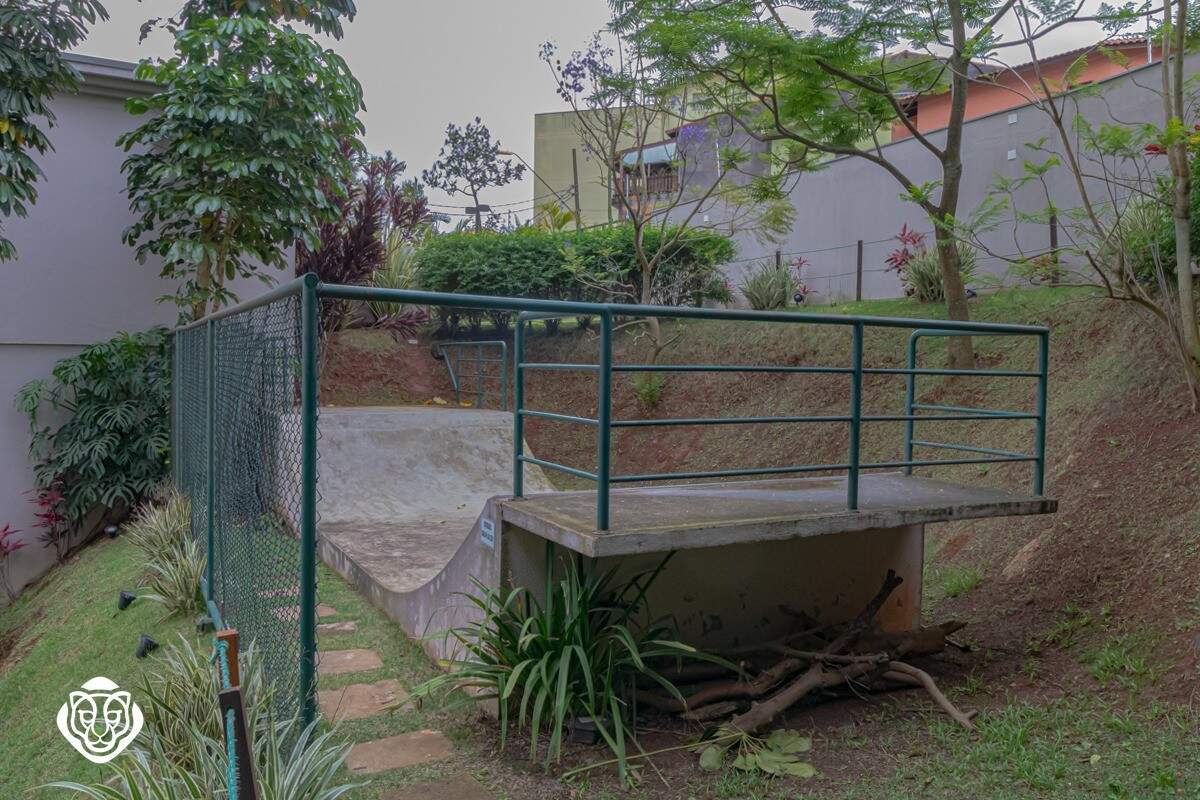 Pista de skate