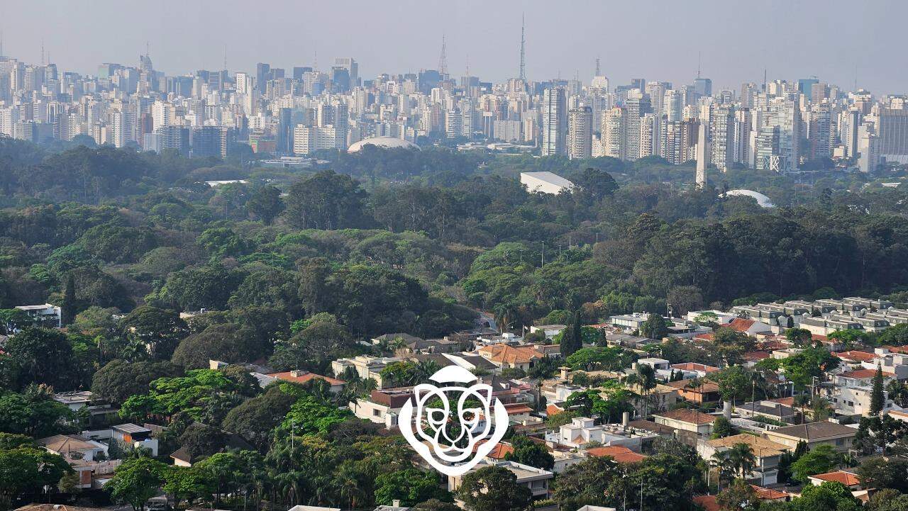 Vista para o Ibirapuera