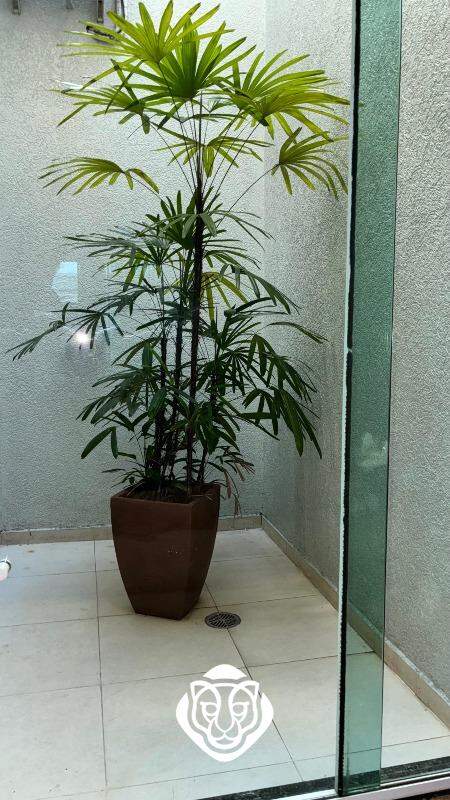 Área de iluminação 