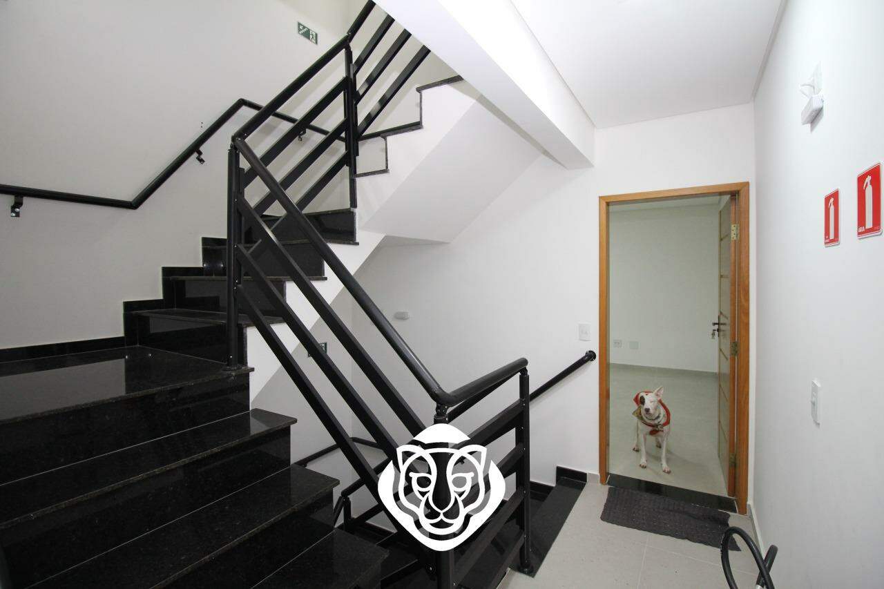 Escadas 