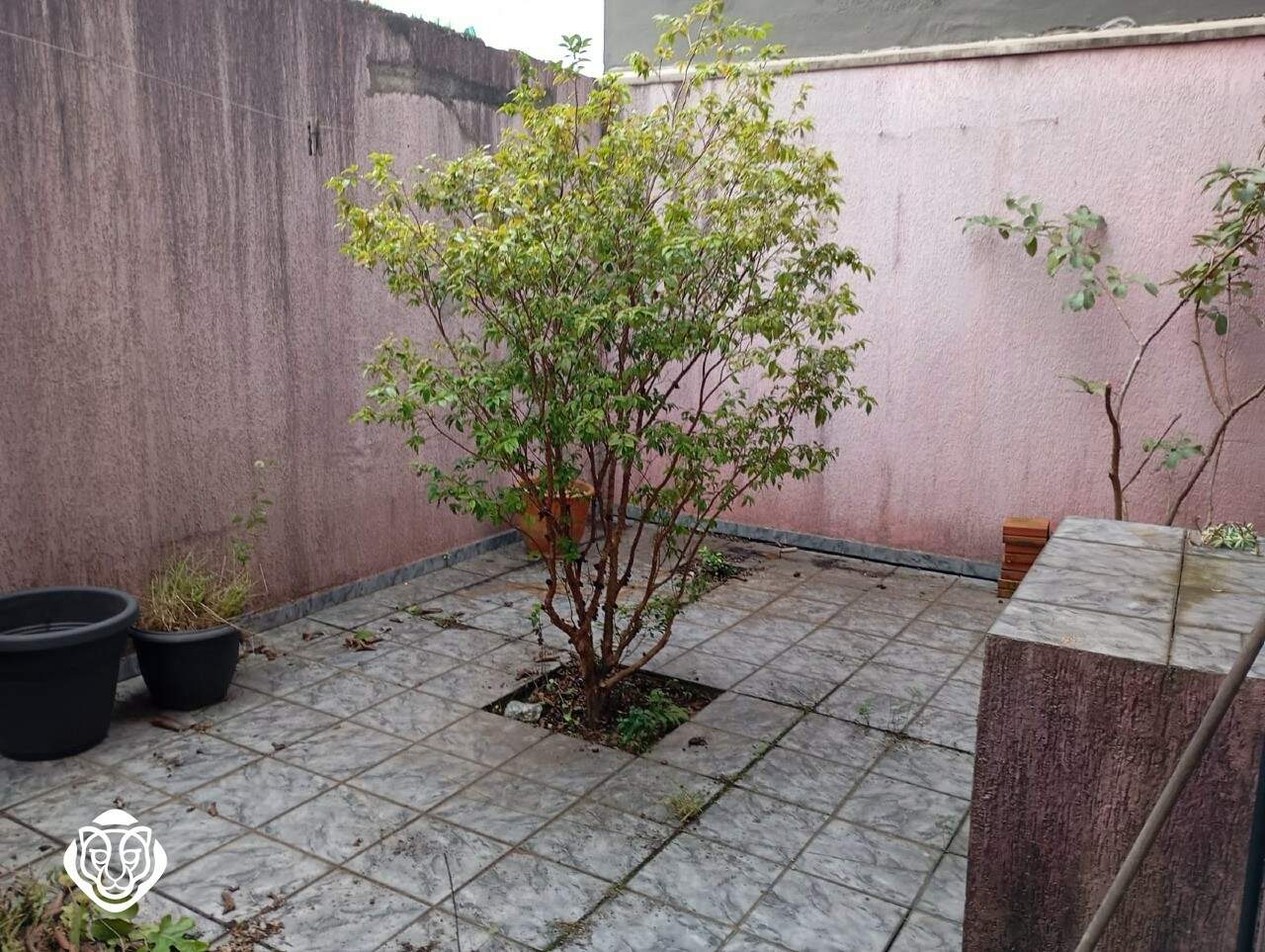 Quintal fundos