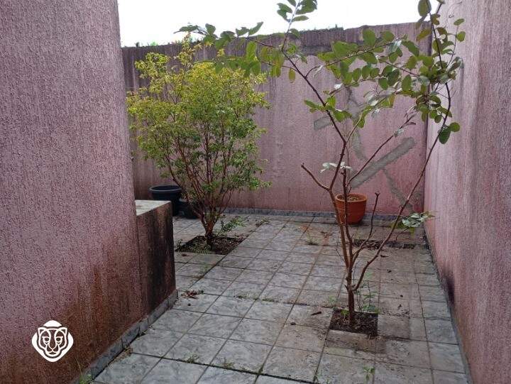 Quintal fundos