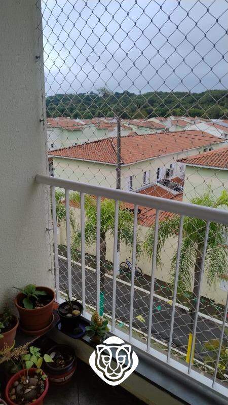 Sacada