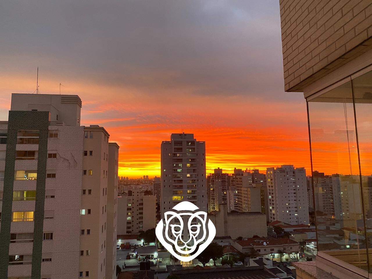 Vista livre 