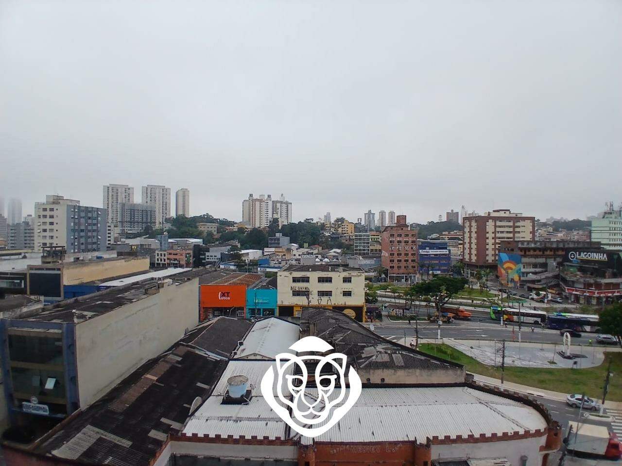 Vista