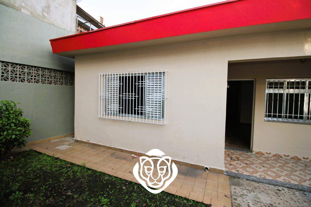 Jardim 