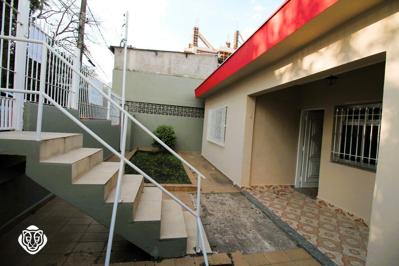 Jardim 