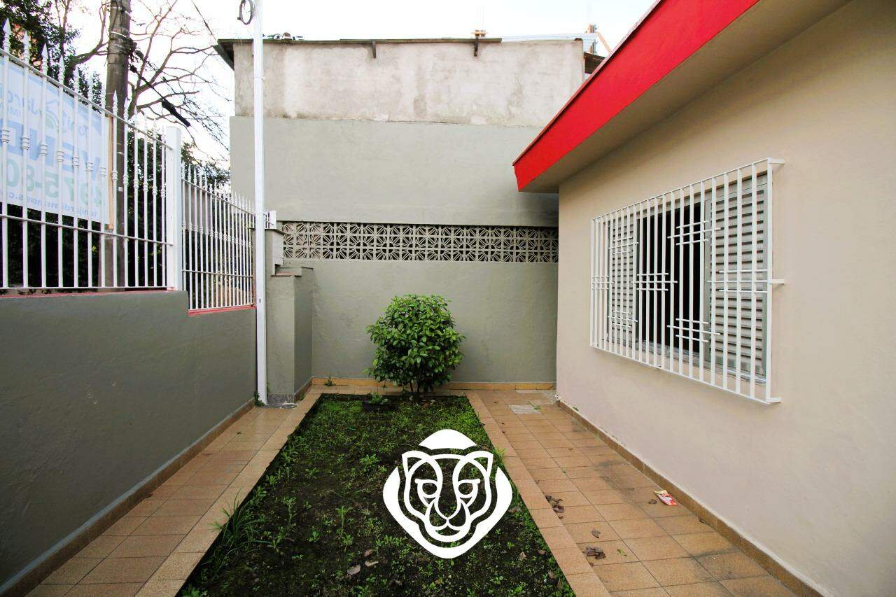 Jardim 