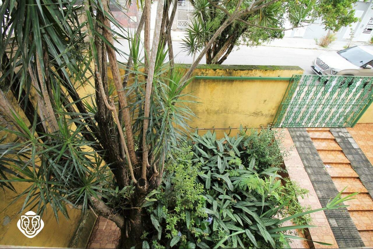 Jardim