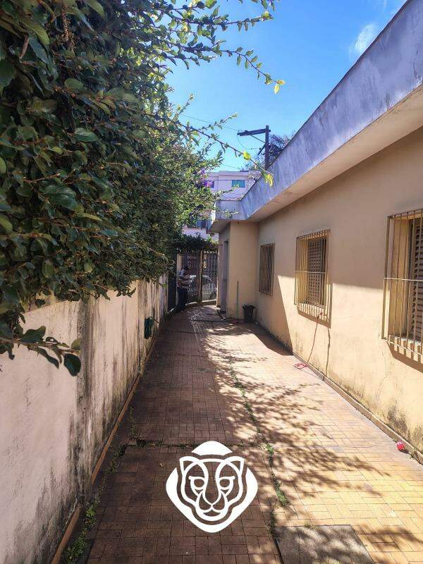 Quintal