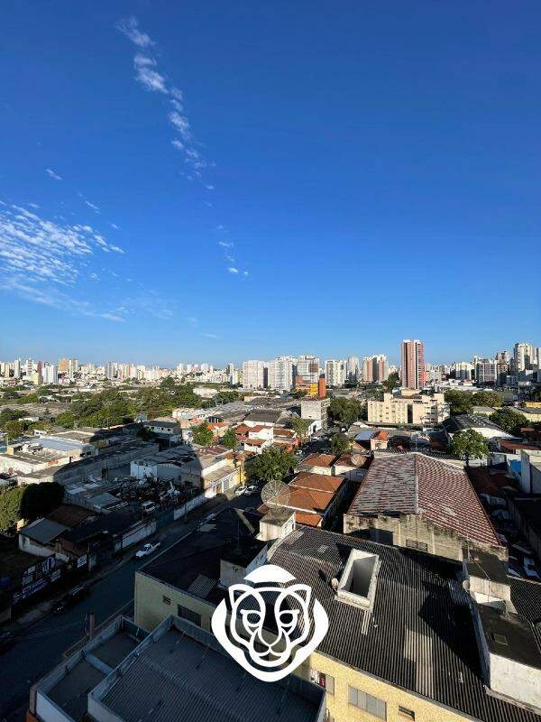Vista