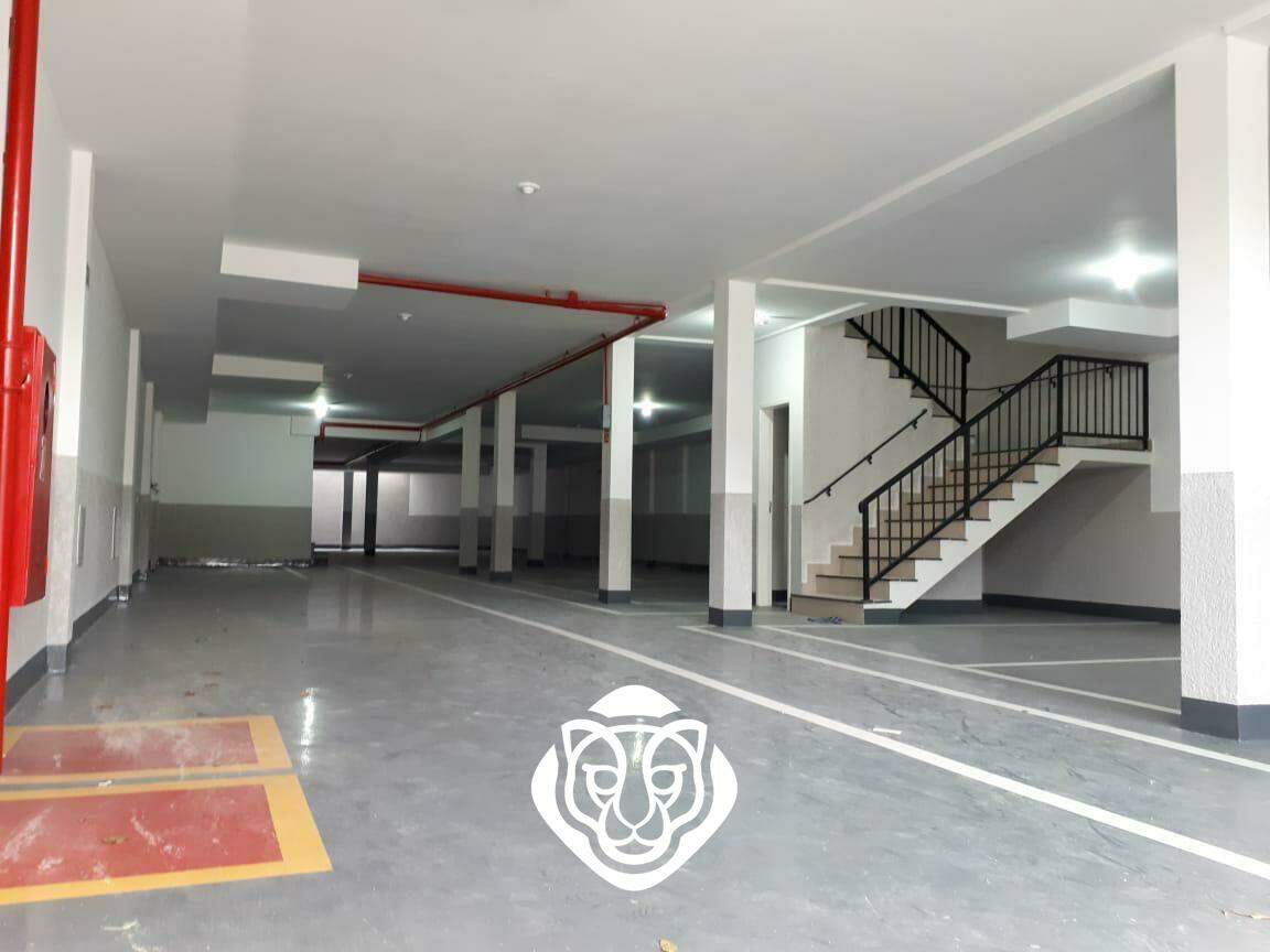 52910-005.JPG
