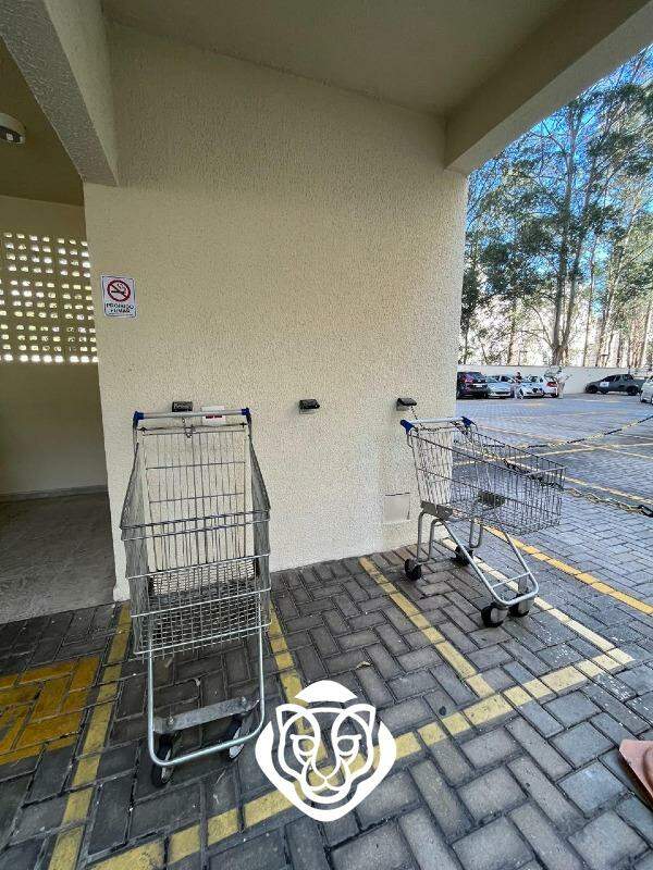 Carrinhos