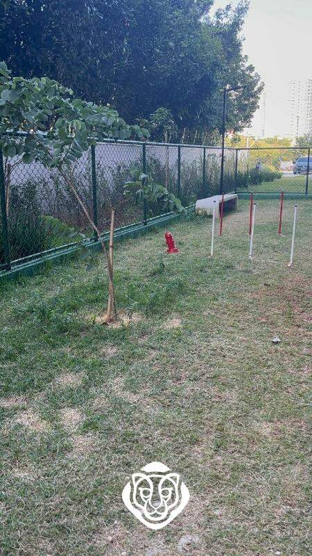 Espaço Pet