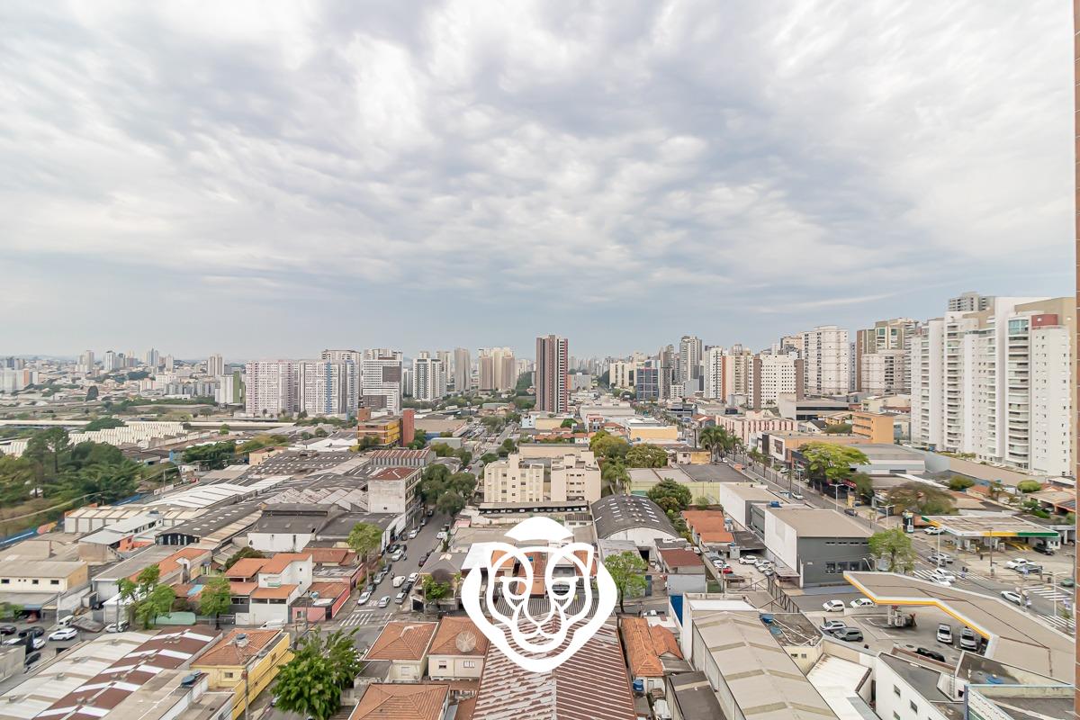 Vista