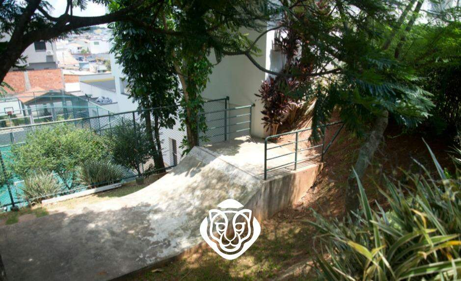 Pista de eskate