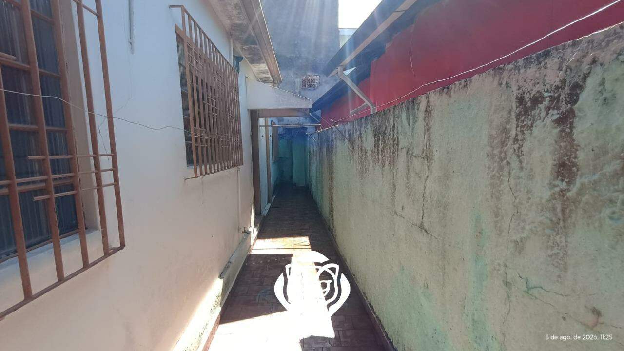 Quintal lateral