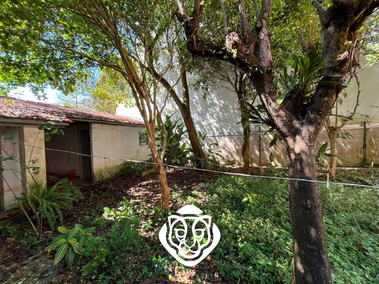 Jardim