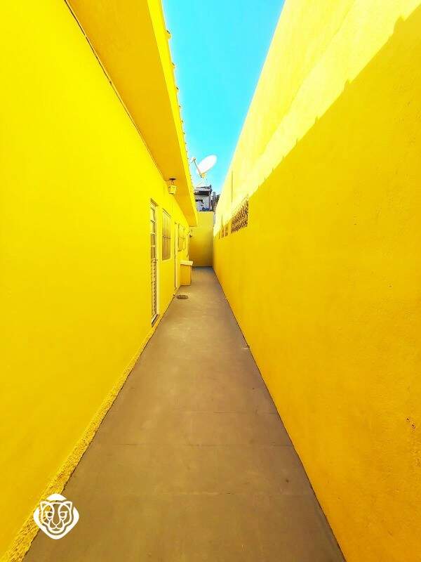Quintal