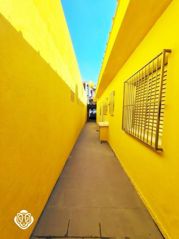 Quintal
