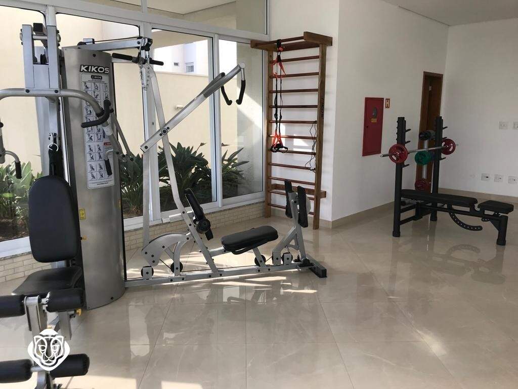 Academia 