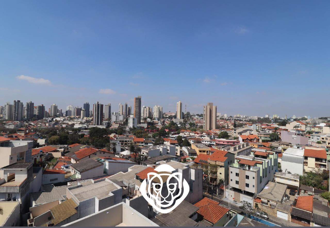Vista