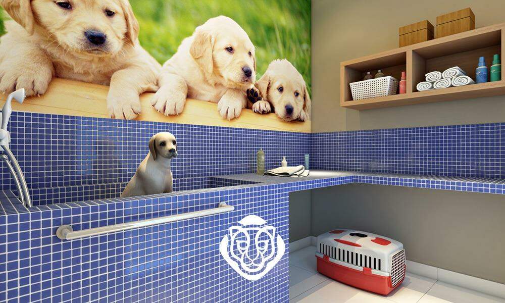 Dog Wash